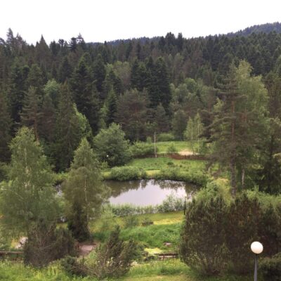 Wasze historie. Choroba Hashimoto. Opowieść Emilii.