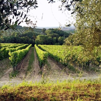 Pytania do radiologa, które jednak okazały się moje ;)