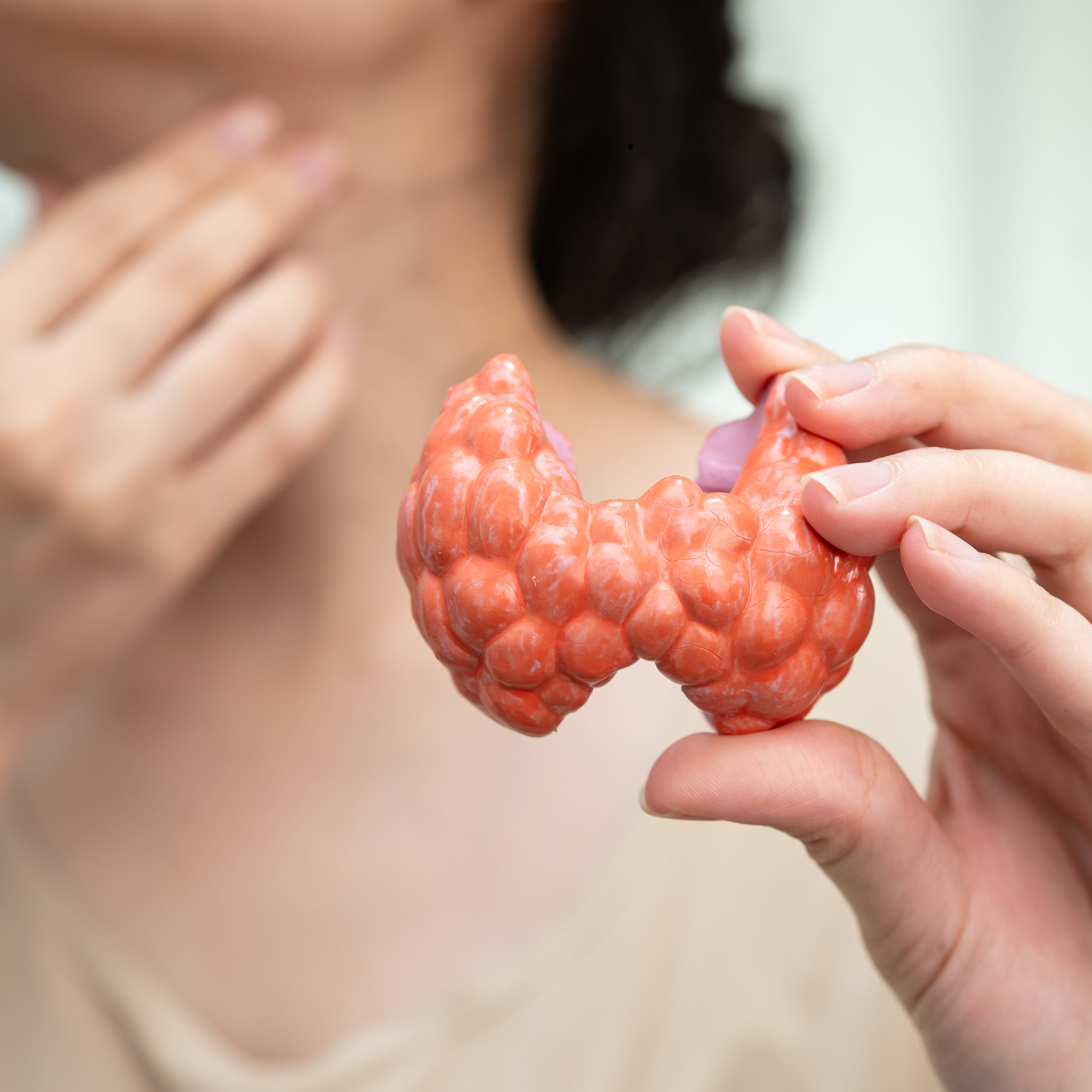 You are currently viewing Biopsja tarczycy – co warto wiedzieć?