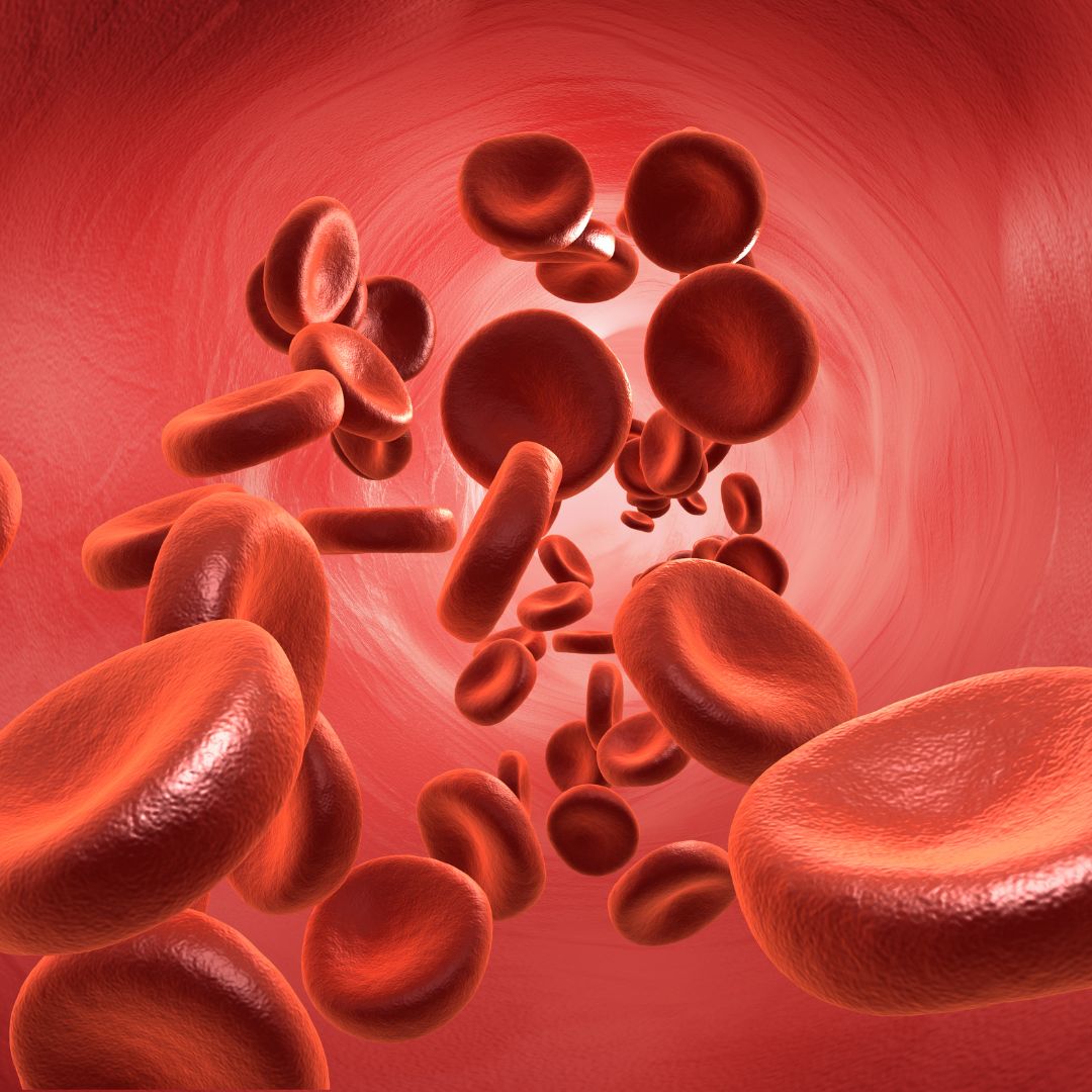 You are currently viewing Jak rozpoznać niski poziom żelaza? 